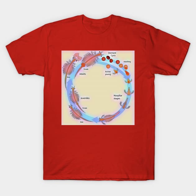 Life Cycle of Brine Shrimp T-Shirt by funhousejen